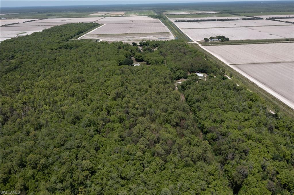 Expansive wooded land bordered by cleared agricultural fields and unpaved roadways