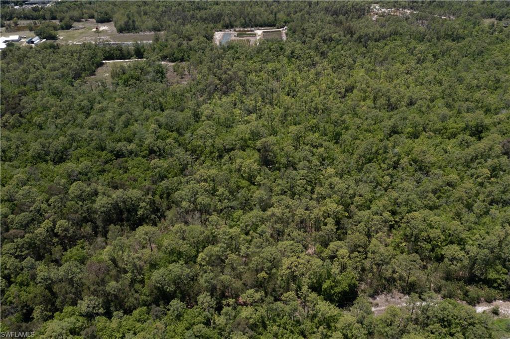 Expansive wooded land featuring mature trees and a natural landscape