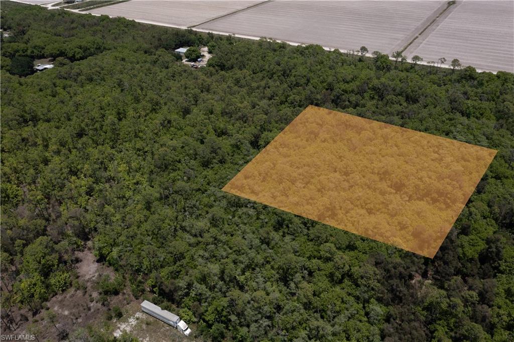 Wooded lot highlighted by an orange overlay