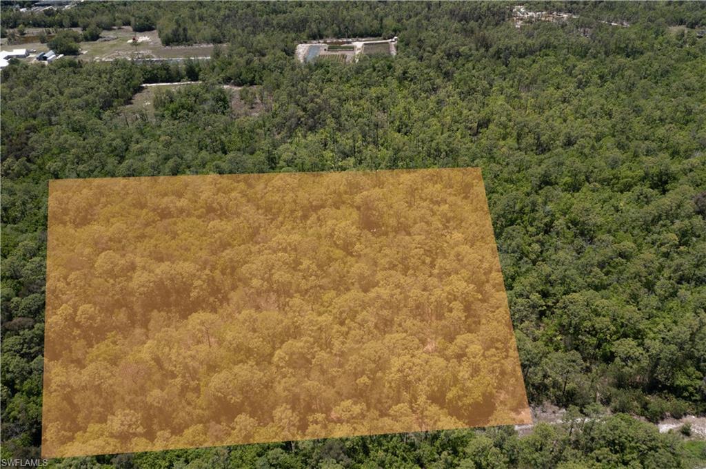 Expansive wooded parcel featuring mature trees and lush natural foliage