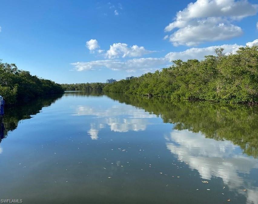 Water view featuring a wooded view