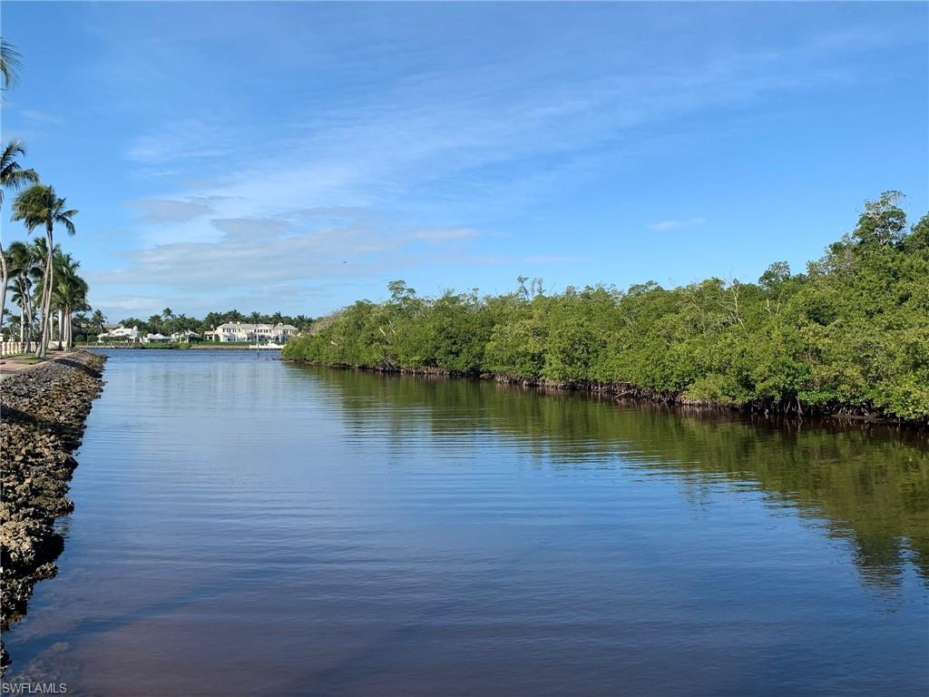 Waterfront property featuring extensive natural landscaping along the waterway