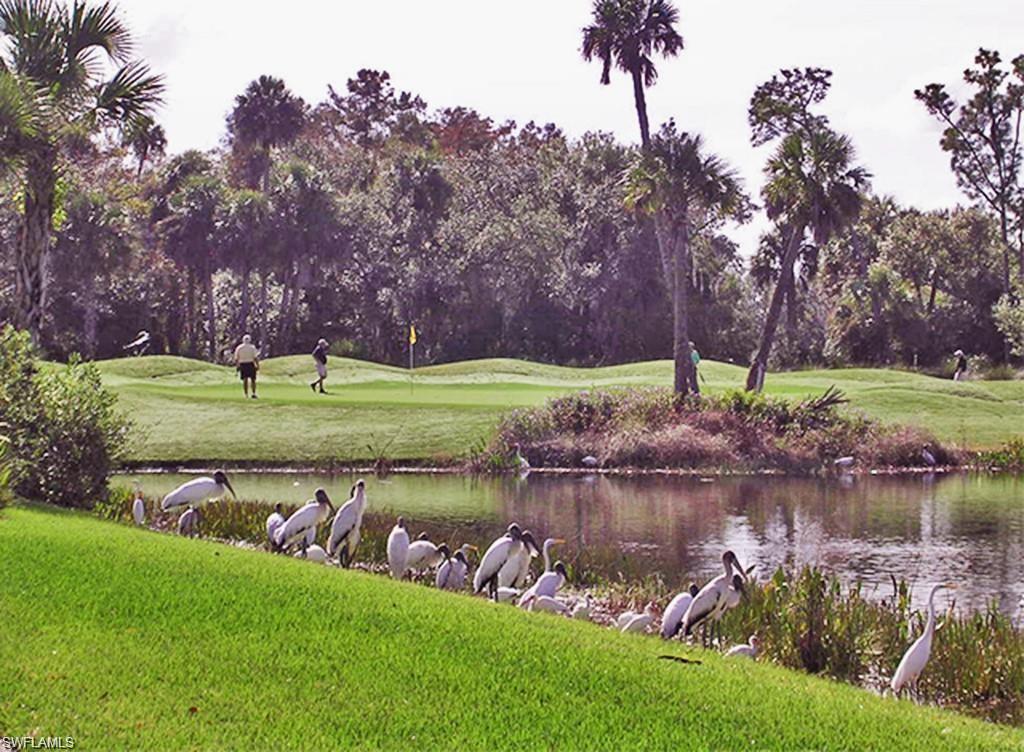 36 Holes of Championship Golf