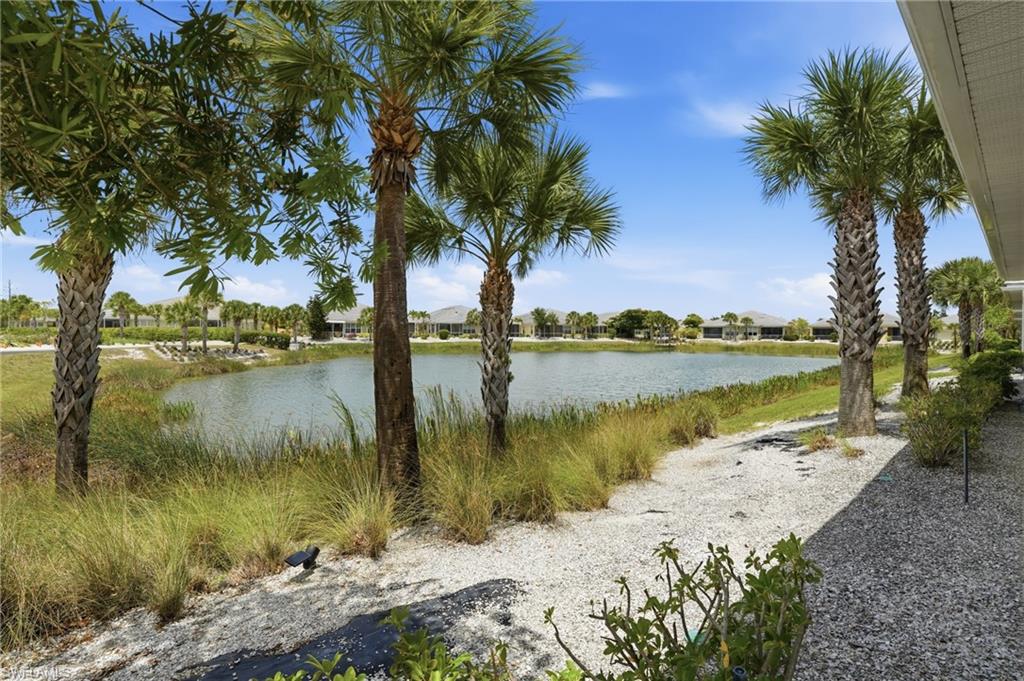 Waterfront property featuring mature palm trees, a gravel walkway, and lush green landscaping