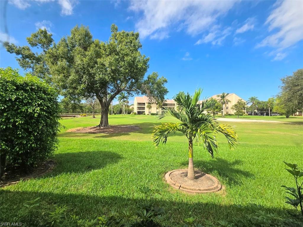 View of Yard from Lanai