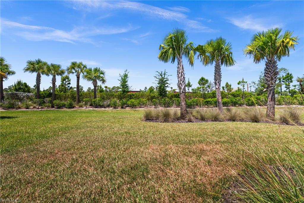 44201 Kelly DR photo 32