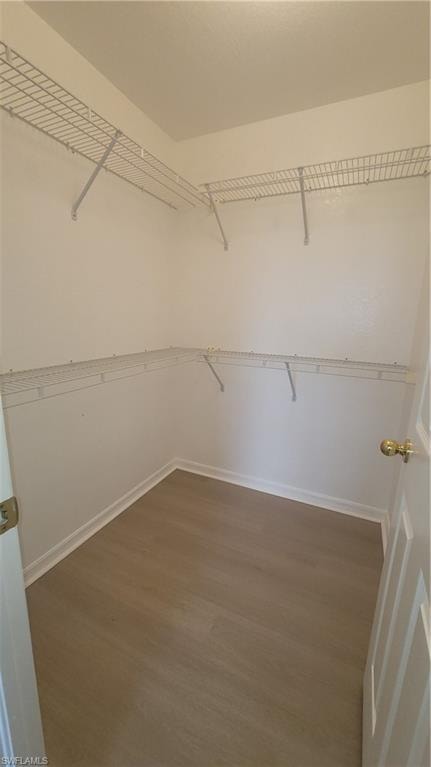 Bedroom 1 closet