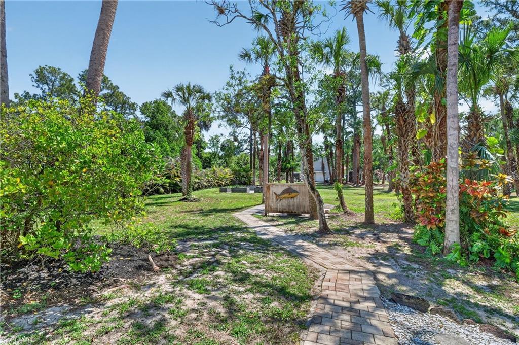 Expansive outdoor space featuring a paver pathway, mature palm trees, lush green foliage, and a decorative fish sculpture