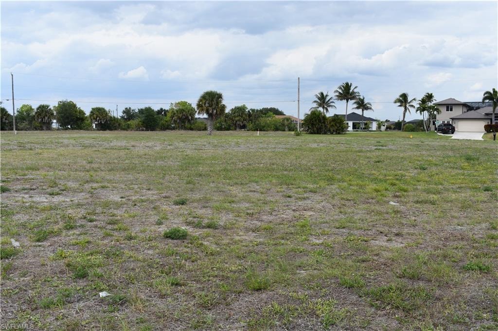 Expansive undeveloped lot with existing natural vegetation