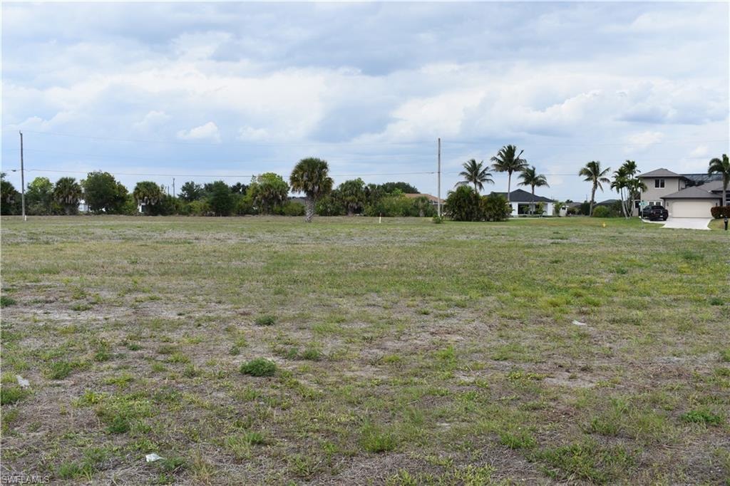 Expansive vacant lot featuring a level terrain, partial tree line at the rear, and street frontage