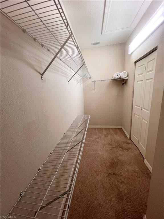 Big Walk-In Closet