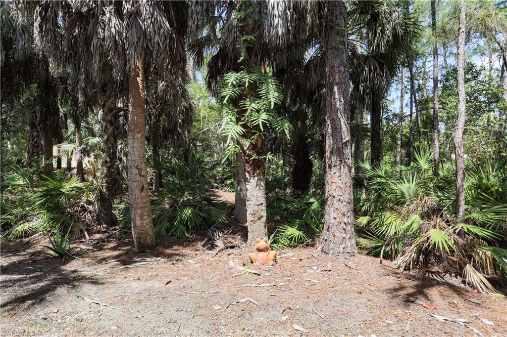 1710 Tarpon Bay DR S 4 photo 27