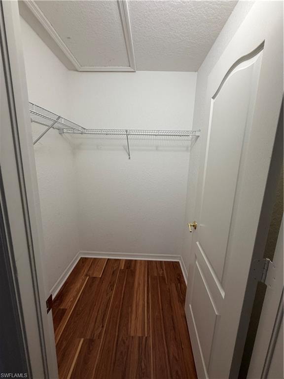 8541 Athena CT photo 13