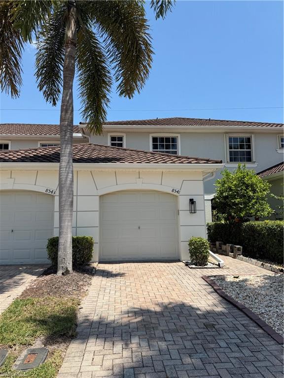 8541 Athena CT