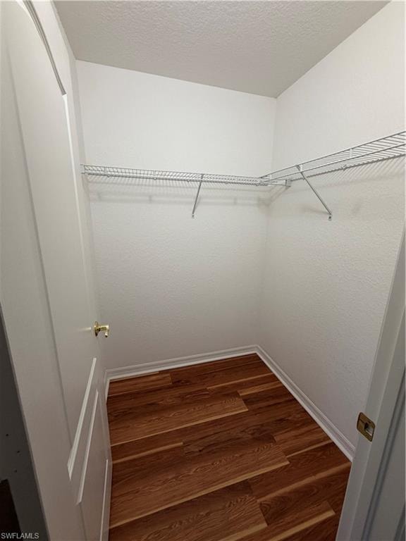 8541 Athena CT photo 14