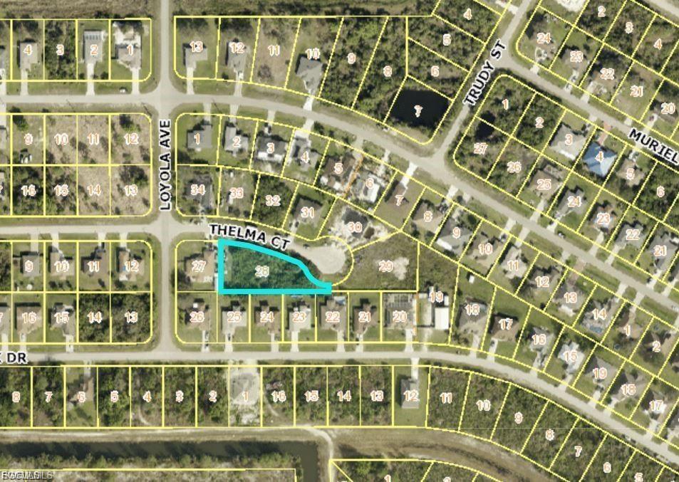 441 Thelma CT