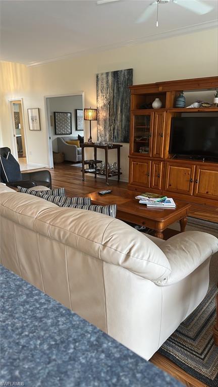 Living area featuring crown molding, ceiling fan, and wood finished floors