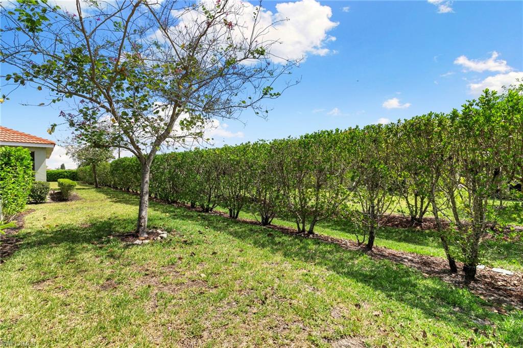 3215 Birchin LN photo 25