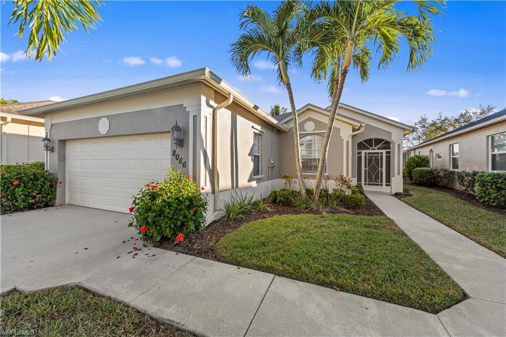 8066 Tauren CT
