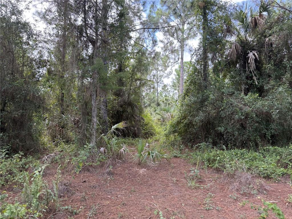 00 Woodland Grade Private RD photo 6