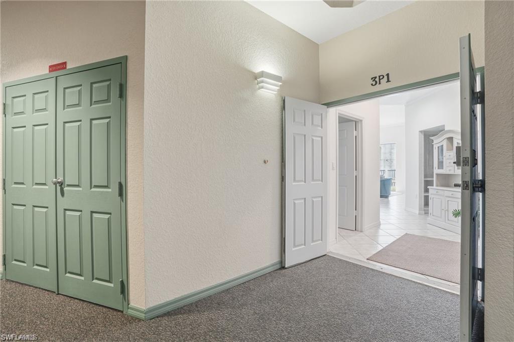 Entryway with carpet flooring, light-colored walls, and a recessed wall sconce