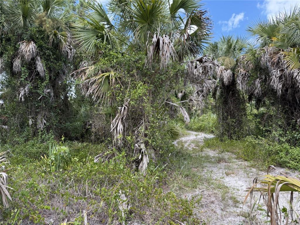 01 Woodland Grade Private RD