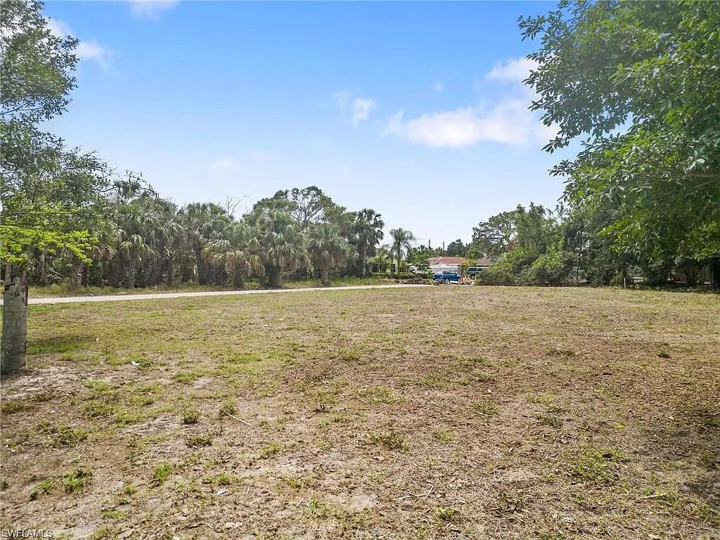 Expansive cleared lot with scattered green patches, bordered by mature palm trees and diverse foliage