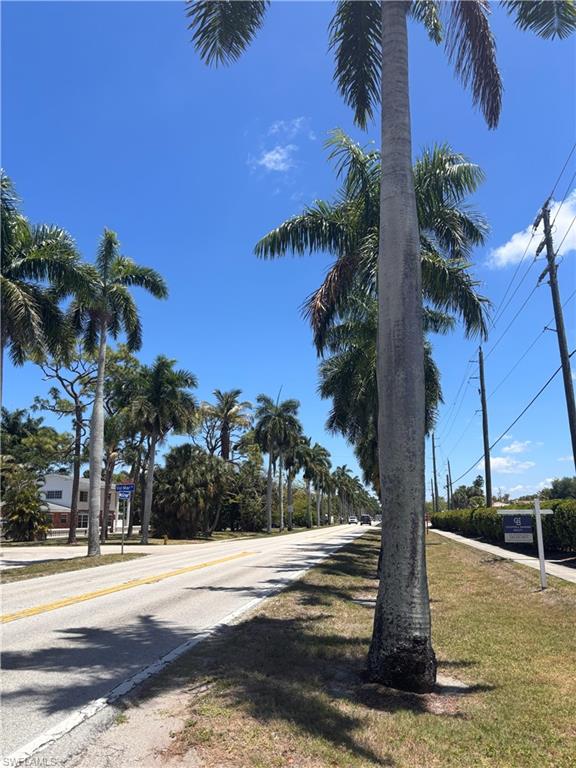 Street lined with mature palm trees and a manicured grass median