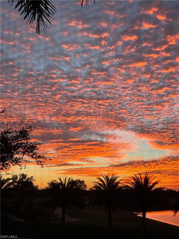 Sunsets