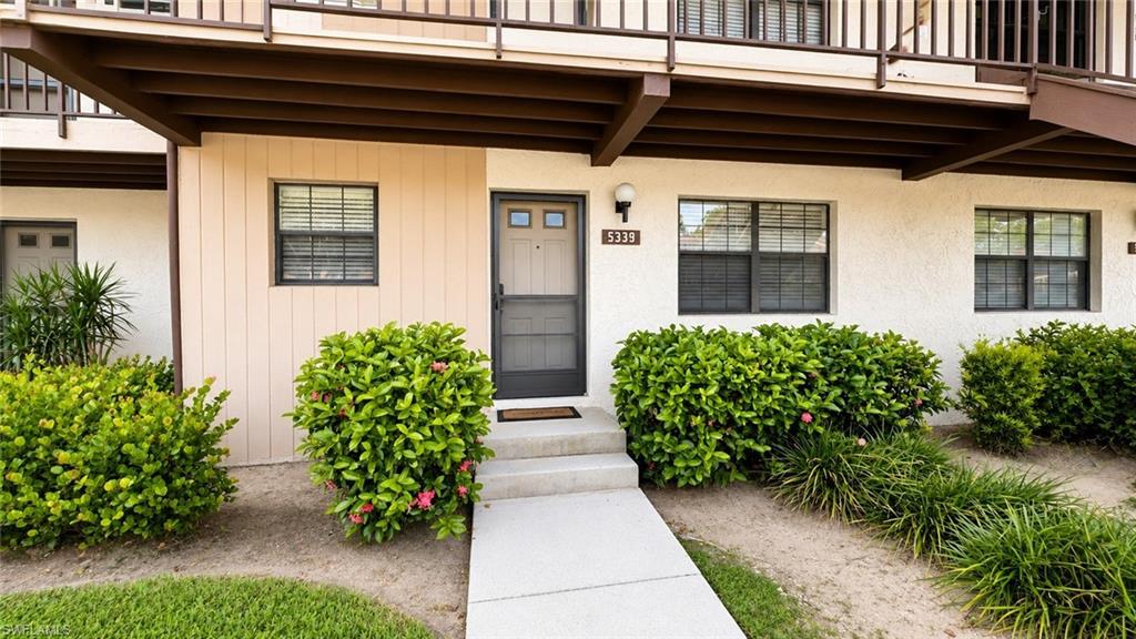 Entryway featuring a screen door, concrete steps, and surrounding green shrubbery