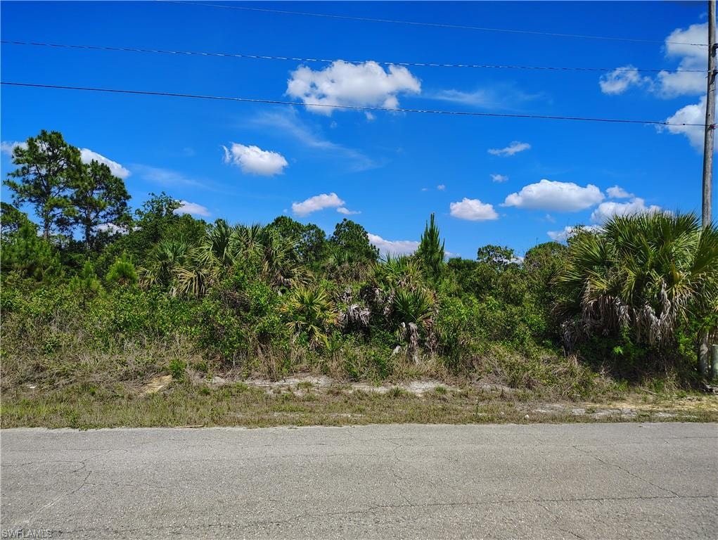 Vacant parcel featuring mature trees, diverse foliage, and a paved road frontage