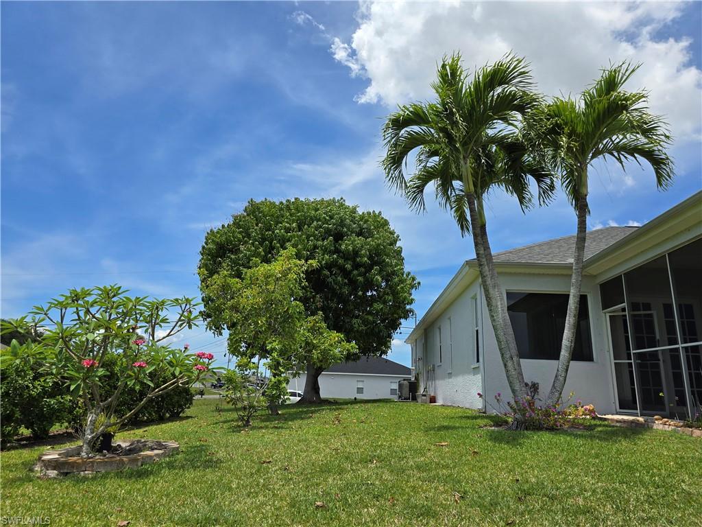 Mature Mango, Fl Avocado, Fig Trees