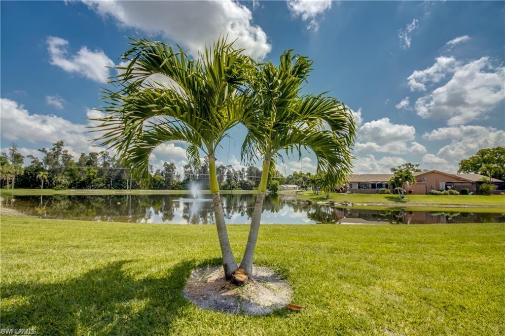 6337 Royal Woods DR photo 33