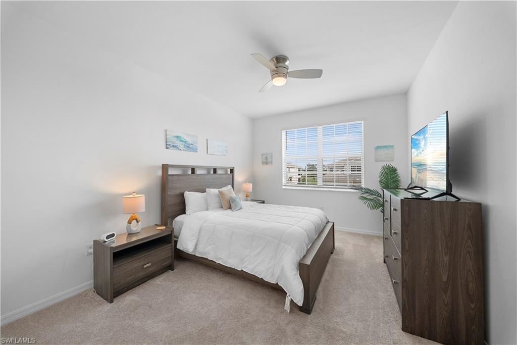 43285 Water Bird WAY 5422 photo 26