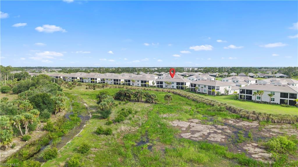 43285 Water Bird WAY 5422 photo 36