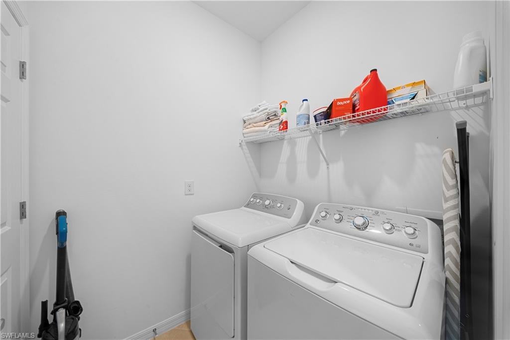 43285 Water Bird WAY 5422 photo 24