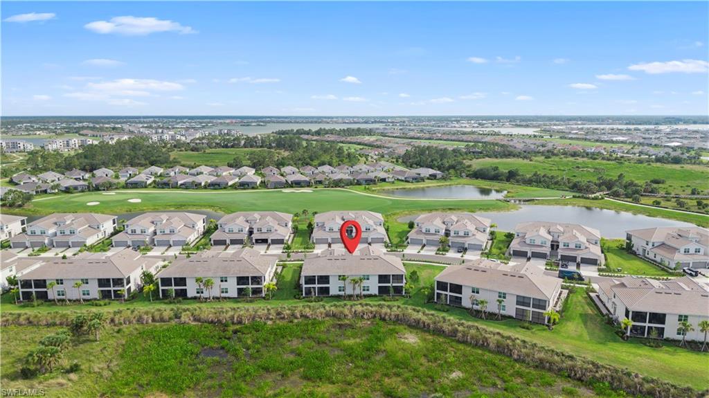 43285 Water Bird WAY 5422 photo 34