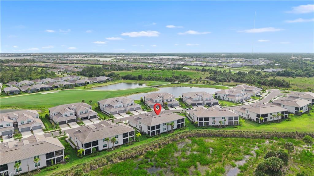 43285 Water Bird WAY 5422 photo 33