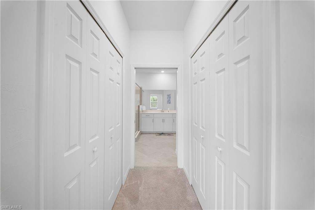43285 Water Bird WAY 5422 photo 19