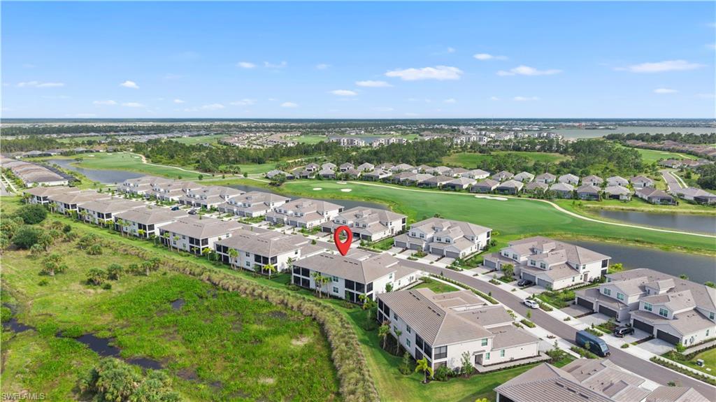 43285 Water Bird WAY 5422 photo 35