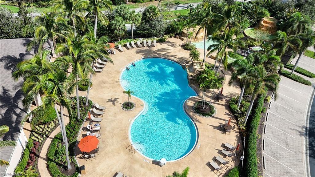 Resort-style pool area featuring a freeform swimming pool, ample lounge seating, and surrounding tropical landscaping