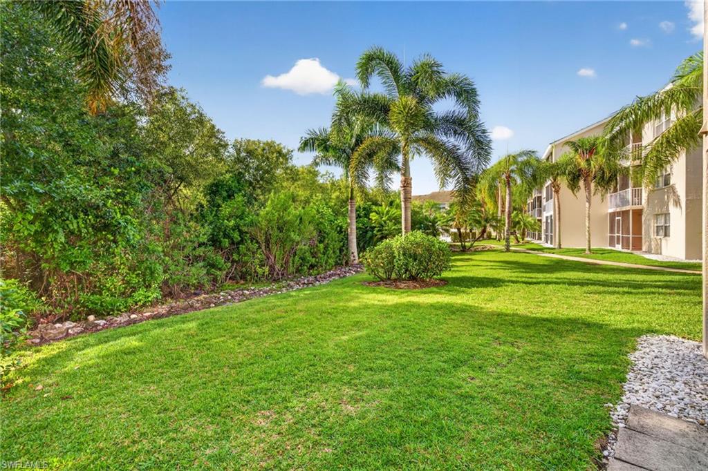 Expansive green space featuring established palm trees and mature tropical foliage