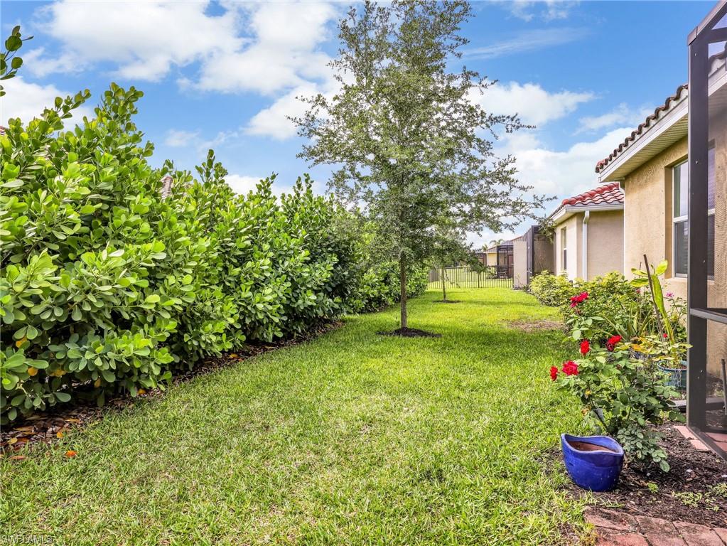 Expansive green lawn bordered by mature shrubbery and a young tree