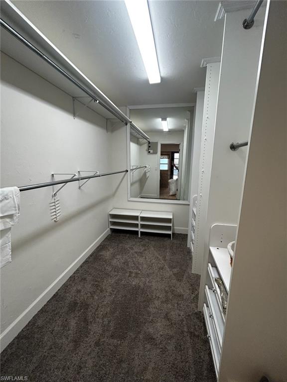 Walk-in closet featuring carpeted flooring, extensive built-in shelving, multiple hanging rods, and a full-length mirror