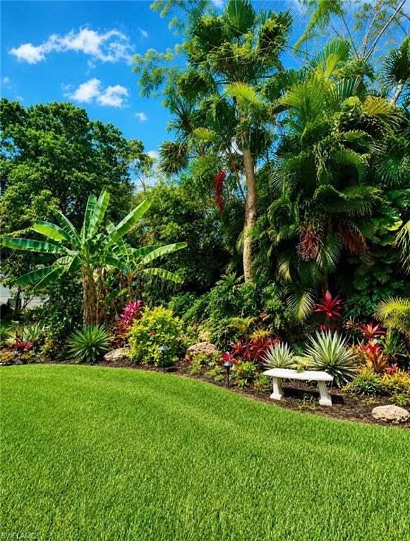 Expansive lawn bordered by mature tropical landscaping and a decorative garden bench