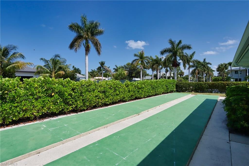 Shuffleboard Courts
