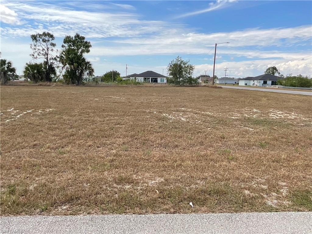 Expansive lot featuring a cleared building site, existing pavement road frontage, and a backdrop of mature trees