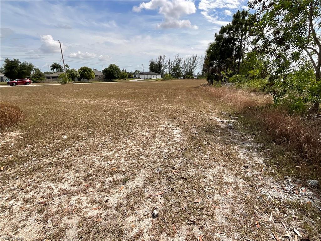 Expansive cleared lot featuring dry vegetation and surrounding mature trees