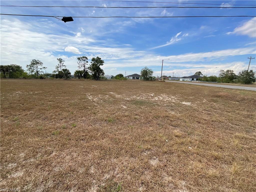 Expansive undeveloped lot featuring a natural ground cover, mature trees along the perimeter, and paved road frontage
