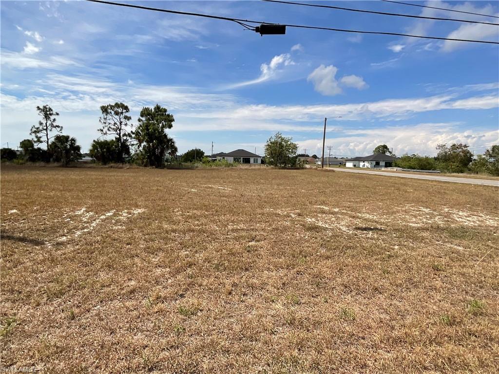 Expansive land parcel featuring natural ground cover, mature trees along the perimeter, and a clear blue sky
